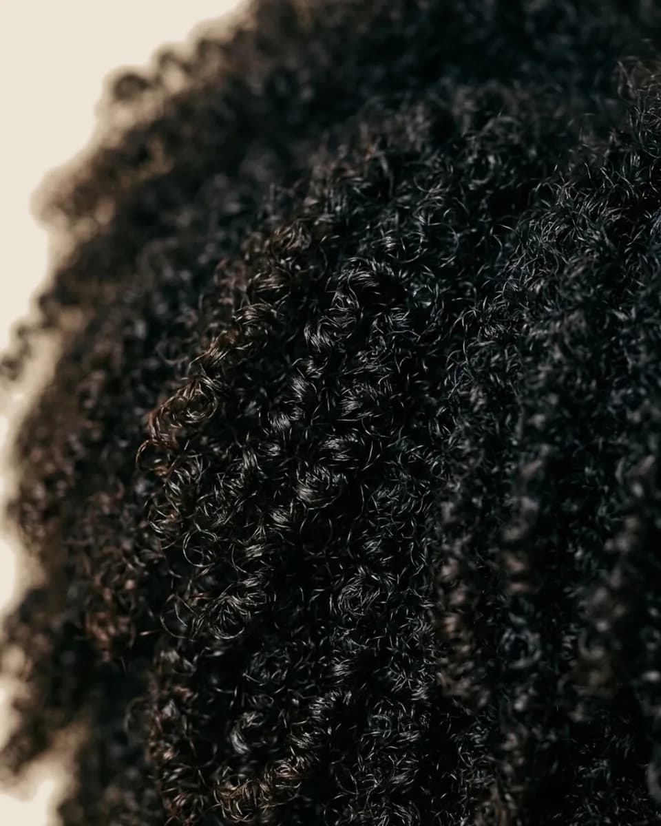 Close-up of coily hair that has soaked the water straight in, no droplets left