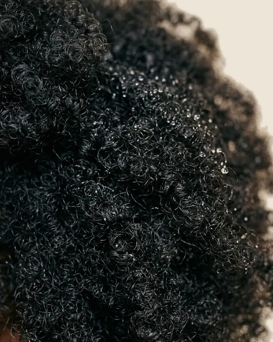 Close-up of coily hair with fine water droplets starting to soak in